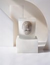 Ver imagem 1 de Vela Perfumada Into The Night Classic 210g - L´envie Parfums