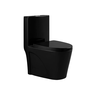 Vaso Sanitário Monobloco Preto Pex Magnus Produzido em Cerâmica - 5