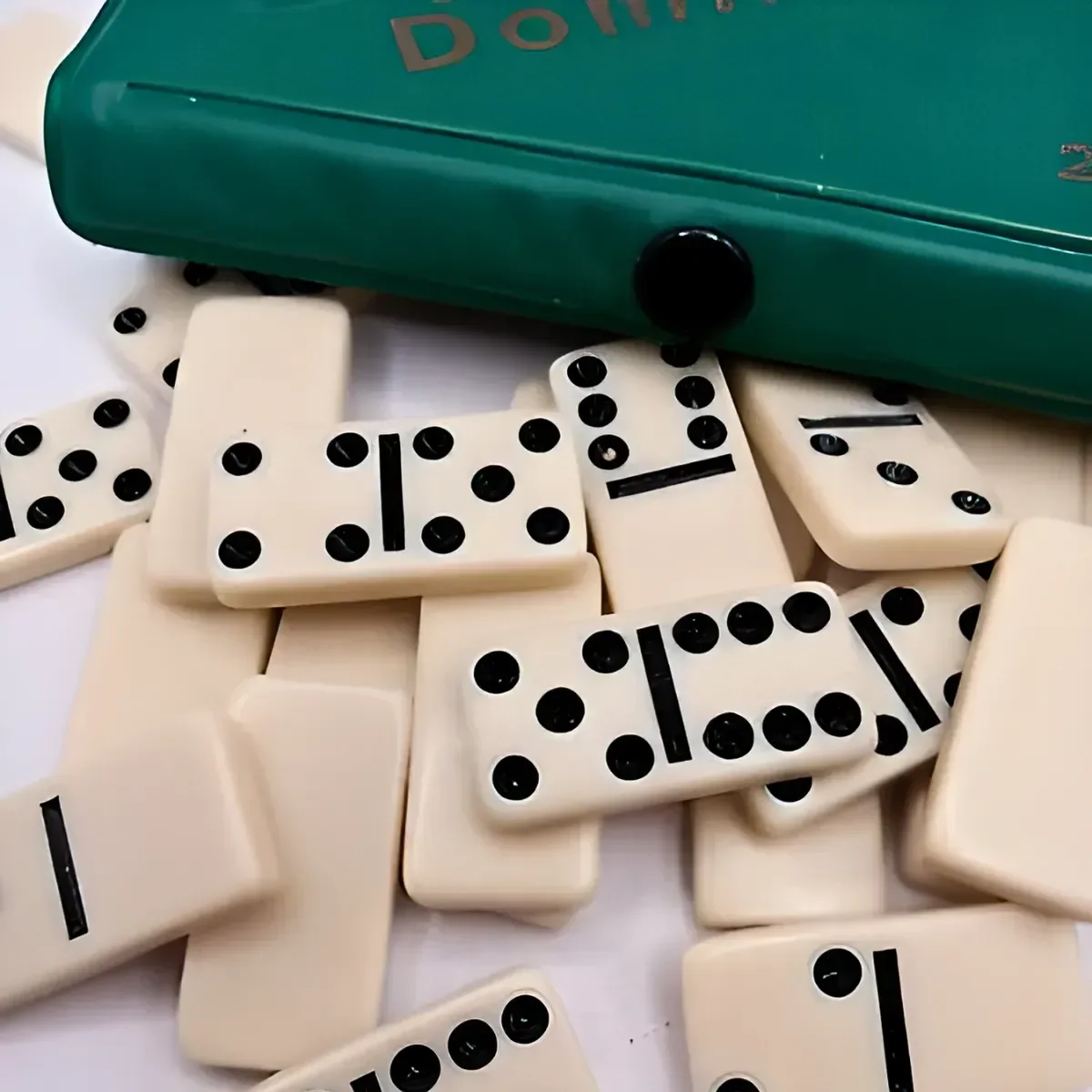 Dominó de Osso Profissional Conjunto com 28 Peças Exclusiva - 5