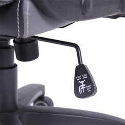Kit 10 Cadeiras Gamer com Relax e Braço Estofado Raptor 3316 - 5