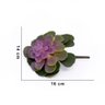 Suculenta Planta Artificial Verde e Rosa 14x16 Cm - D'rossi - 3