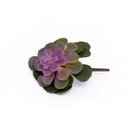 Ver imagem 4 de Suculenta Planta Artificial Verde e Rosa 14x16 Cm - D'Rossi