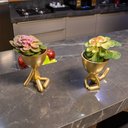 Ver imagem 5 de Suculenta Planta Artificial Verde e Rosa 14x16 Cm - D'rossi