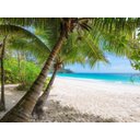 Ver imagem 2 de Papel De Parede Praia Mar Coqueiros Céu 3D Npr247