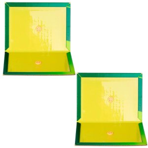 Ratoeira Adesiva Cola Pega Rato 20x15cm |02 Un