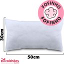 Ver imagem 3 de Kit 2 Refil para Almofada Fibras Siliconadas Antialérgico 30x50 Bf Colchões