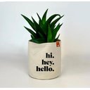 Ver imagem 2 de Cachepot Pequeno em Lona de Algodão Estampado, para Casa ou Escritório