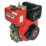 Motor Diesel 6HP 3600Rpm (Alta) MD178 Eletroplas - 1