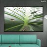 Quadro Decorativo 40x60cm Canvas Zoom Folha Costela Adao Monstera Flnt072 - 2