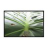 Quadro Decorativo 40x60cm Canvas Zoom Folha Costela Adao Monstera Flnt072 - 1