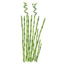 Ver imagem 3 de Adesivo de Parede Bambu Decorativo Cartela com 22 Adesivos- 1166