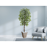 Planta Artificial Ficus Verde 2,10m kit + Vaso Trapezio D. Grafiato Bege 40cm - 2