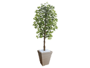 Ver imagem 1 de Planta Artificial Ficus Verde 2,10m kit + Vaso Trapezio D. Grafiato Bege 40cm