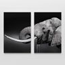 Quadro Decorativo Elefante Bebendo Água 2 Telas - 3
