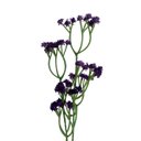Ver imagem 1 de Kit 9 Flores Artificiais Roxo para Arranjos Grandes e Eventos Especiais