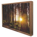 Ver imagem 3 de Quadro Decorativo Caixa As Árvores e o Nascer do Sol Tacolado Moldura Caixa 3cm Madeira com Vidro 6