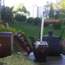 Bomba 21cm Chimarrão E Tereré Estampada Bojo Mola Removivel - 6
