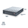 Colchão Passion Molas Ensacadas Queen Sealy - 3