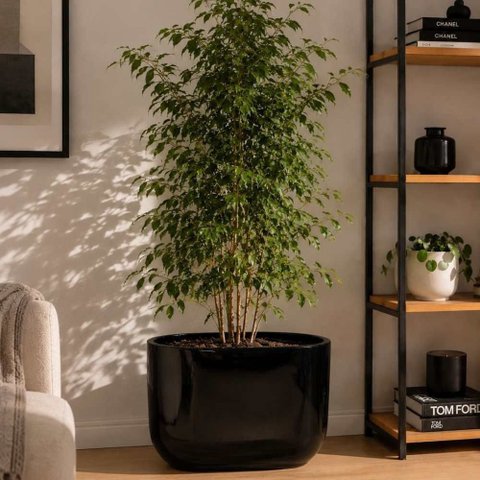 Vaso Jardineira Fibra de Vidro Lisboa Vietnamita 66,5cm Floreira Preto Brilho