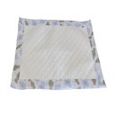 Ver imagem 1 de Tapete Higiênico Pet Impermeável Branco Pequeno Reutilizável Lavável: Nuvem Azul Bebê