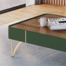 Mesa de Centro Decorativa Rennes Mdp/mdf Pés de Aço Verde Pistache/castanho G26 - Gran Belo - 5