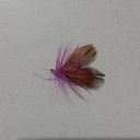 Ver imagem 2 de Isca Pesca Peixe Mosca Artificial Pescaria Fishing Tilapia Tucunare Robalo Lambari Tainha Mar Açude 