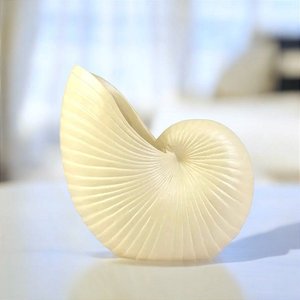 Vaso Decorativo Concha Bege em Cerâmica