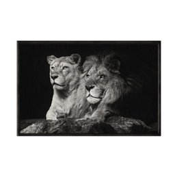 Quadro Decorativo - Casal de Leoes Preto e Branco Anm014 Tela Canvas - 60x40cm - 2