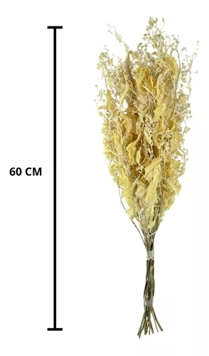 Buquê Desidratado Dedo de Anjo Alvejado Seco Decoração Arranjo Festa - 3
