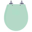 Ver imagem 1 de Assento Sanitário Laqueado Soft Close Avalon Verde Claro para Vaso Ideal Standard
