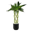 Ver imagem 1 de Vaso Cerâmica Outono 13x13x12,5 Cm – Elegância e Aconchego para Sua Decoração