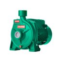 Ver imagem 1 de Bomba Monoestágio B-10 1/2 Cv Monofásico Motor Thebe IP44 127/220V Verde Ebara