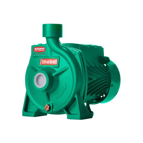 Bomba Monoestágio B-10 1/2 Cv Monofásico Motor Thebe IP44 127/220V Verde Ebara