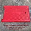 Ver imagem 3 de Tampa de Incêndio Hidrante Recalque 40x60 Ferro Vermelha