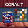 Tinta Esmalte Coralit Sintético Ultra Resistência Cinza Platina Brilhante 900ml - 3