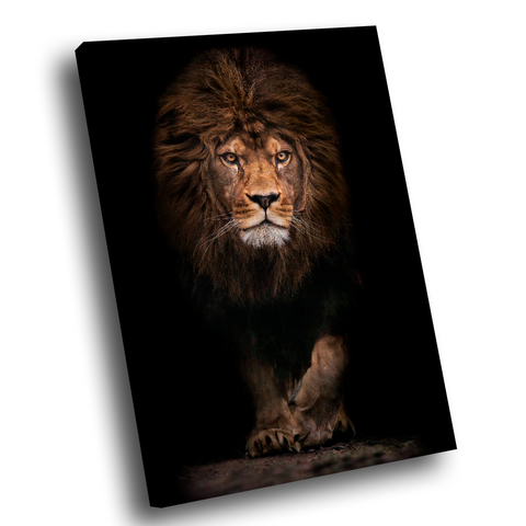 Quadro Leão Assente -- BR ARTES