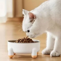 Comedouro Elevado Cachorro Cao Gato Animal de Estimaçao Tigela Removivel Raçao Seguro Resistente Gra - 3