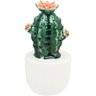 KAKTUS ADORNO 16x8x8cm CERÂMICA VERDE CACTO - 1
