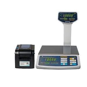 Combo Systel Clipse com Torre Branca 30kg + Impressora Quo Novo