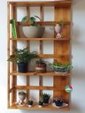Ver imagem 3 de Prateleira, Floreira, Suporte Plantas, Painel de Plantas P8