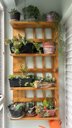 Ver imagem 5 de Prateleira, Floreira, Suporte Plantas, Painel de Plantas P8