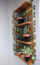 Ver imagem 2 de Prateleira, Floreira, Suporte Plantas, Painel de Plantas P8
