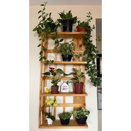 Prateleira, Floreira, Suporte Plantas, Painel de Plantas P8 - 4