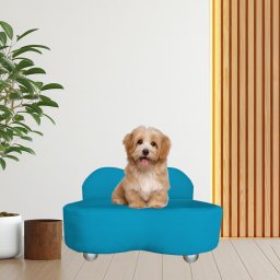 Cama Pet Kyara Sala Quarto Reforçada Turquesa - 3