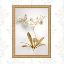 Ver imagem 1 de Quadro Moldura Dourada Flores 24x18cm:com Acetato