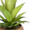 Ver imagem 2 de Vaso Decorativo Dourado com Suculenta Artificial Aloe Vera Mini 16x8 Cm F04 - D'rossi