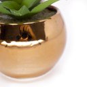 Ver imagem 3 de Vaso Decorativo Dourado com Suculenta Artificial Aloe Vera Mini 16x8 Cm F04 - D'rossi