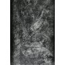 Tapete Alasca 200x300 Negresco - 1