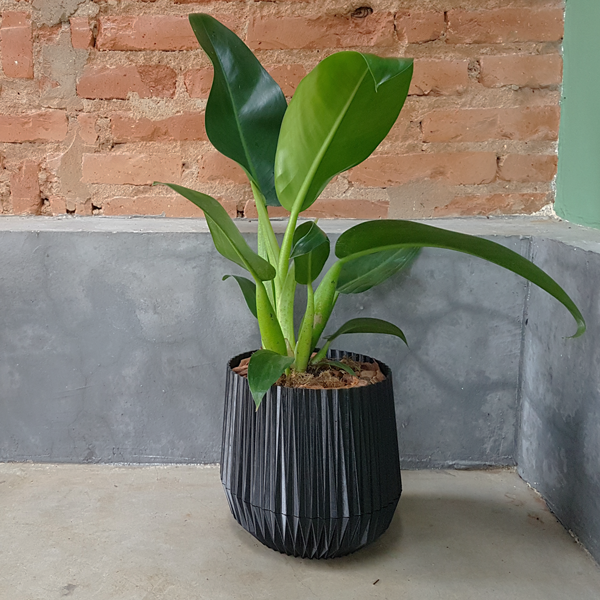 Vaso de plantas Cesto - prato embutido - Preto - 1