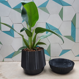 Vaso de plantas Cesto - prato embutido - Preto - 2